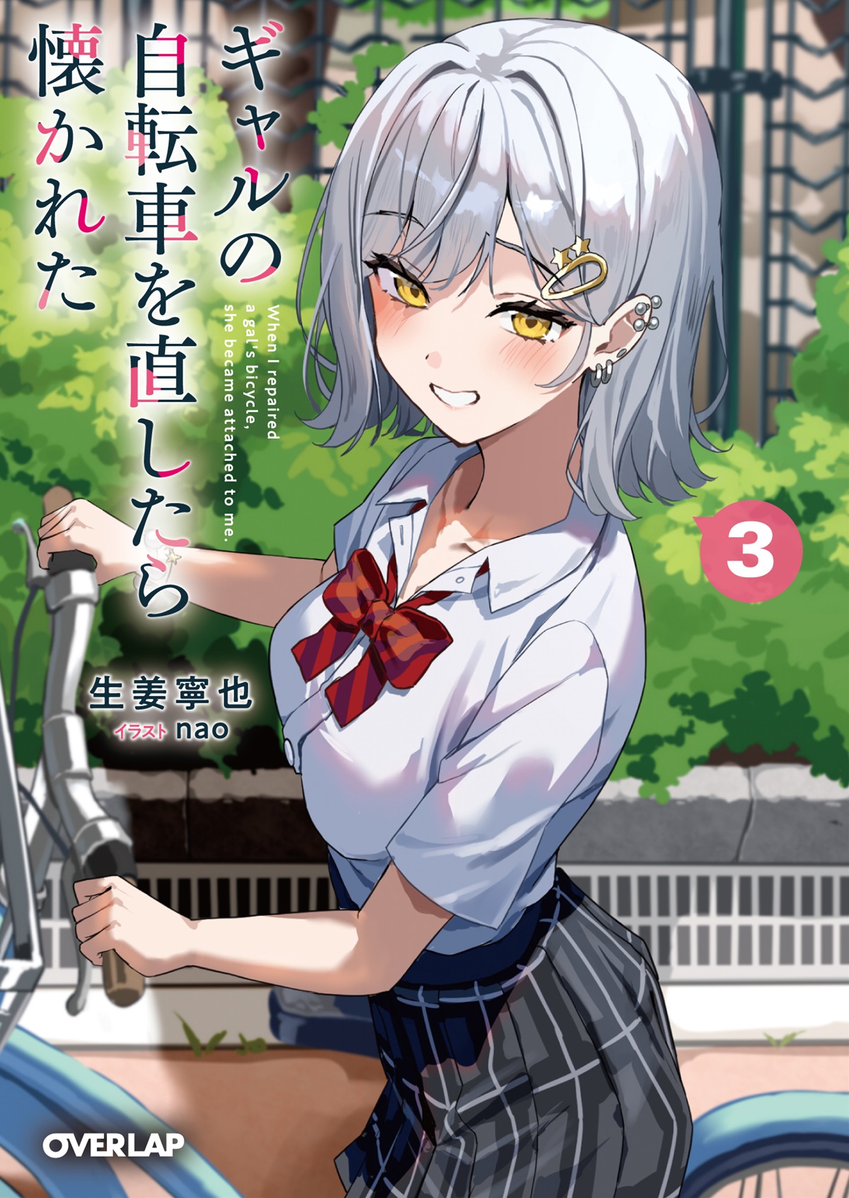 ギャルの自転車を直したら懐かれた 3