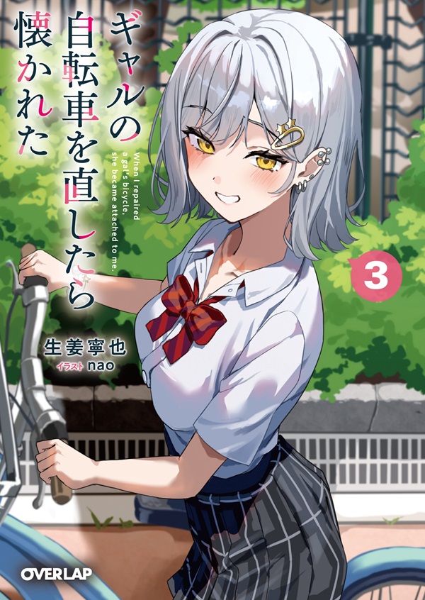 ギャルの自転車を直したら懐かれた 3