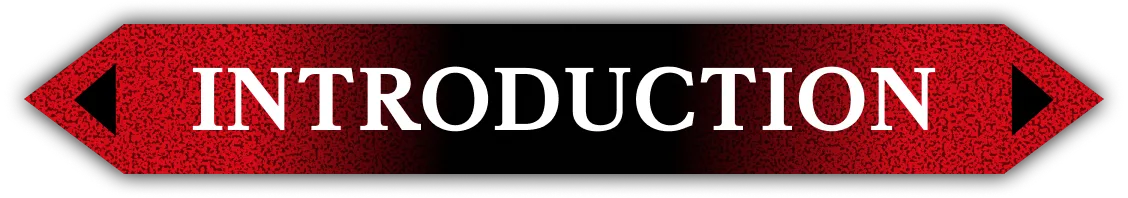 スペシャル｜特別