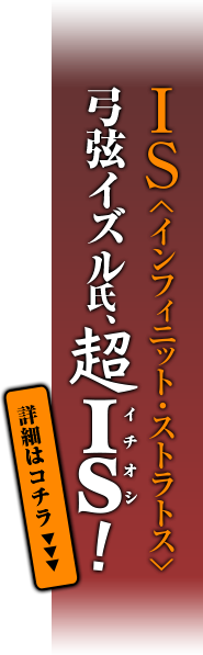 ——戦華の姫君は、穢されて強くなる。