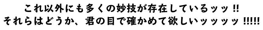 これ以外にも多くの妙技が存在しているッッ!!　それらはどうか、君の目で確かめて欲しいッッッッ!!!!!