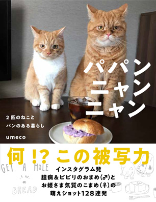 2匹のねことパンのある暮らし　パパンニャンニャン