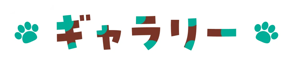 ギャラリー