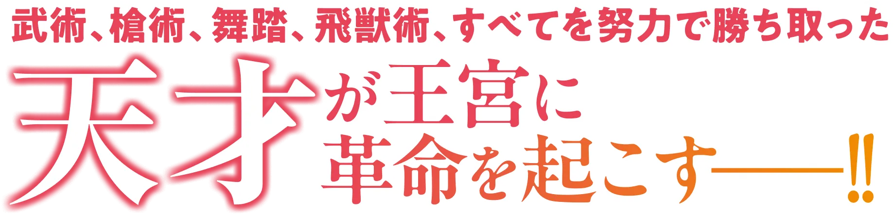 武術、槍術、舞踏、飛獣術、すべてを努力で勝ち取った天才が王宮に革命を起こす——！