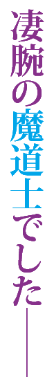 凄腕の魔道士でした――